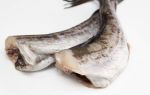 Можно ли есть морепродукты при подагре: разрешено ли употреблять в пищу, польза и вред, полезные виды и рецепты приготовления