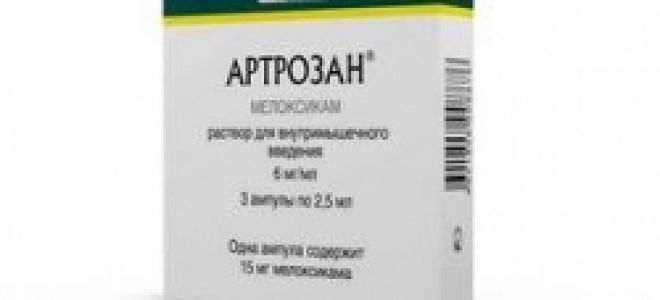 Аналоги препарата артрозан: обзор лекарств со схожим составом и фармакологическим действием, показания и противопоказания, совместимость с другими медикаментозными средствами и цены