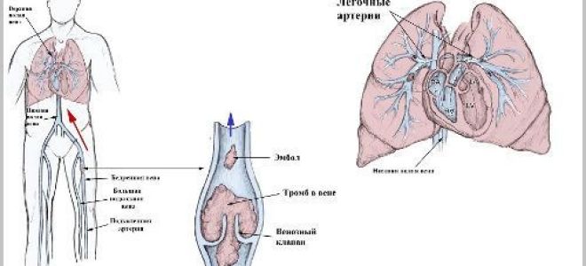 Какой врач лечит подагру: как определить заболевание, к кому обратиться с проблемой, методы диагностики и лечения аптечными препаратами и средствами нетрадиционной медицины