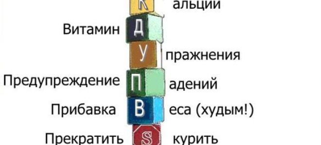 Какой врач лечит остеопороз костей и позвоночника: описание заболевания и его симптомы, методики диагностики и лечения, выбор специалистов и цены на их услуги