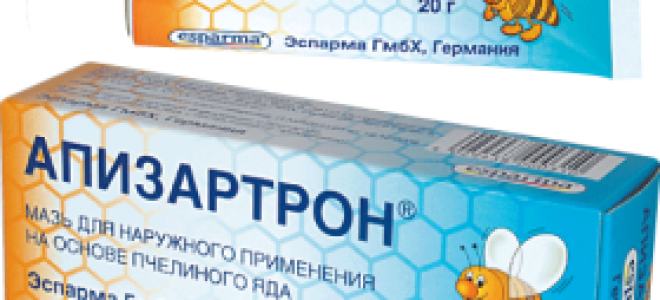 Апизартрон: форма выпуска и лечебное действие, действующее вещество и побочные эффекты, показания и противопоказания к применению, необходимые дозировки