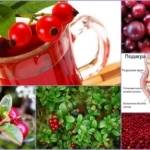 Употребление клубники при подагре: химический состав и полезные свойства ягоды, можно ли ее есть при заболевании, нормы потребления, рецепты целебных средств на основе растения