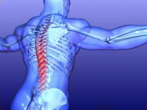 Упражнения при остеохондрозе на растяжку позвоночника: примеры движений и противопоказания, польза и вред физических нагрузок, правила выполнения