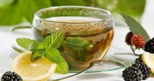 Зеленый чай при подагре: польза и вред, рекомендуемые сорта, технология заваривания и правила употребления напитка, важные советы и рекомендации