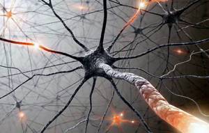 Неврит седалищного нерва: причины развития заболевания, клиническая картина и методы диагностики, лечение медикаментами и полезные физиотерапевтические мероприятия