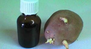 Лечение суставов картофелем: использование ростков и цветков, меры предосторожности и народные рецепты, лечебные характеристики