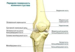 Рентген коленного сустава: что показывает диагностика, как проводиться, для чего назначается процедура