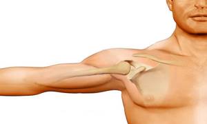 Воспаление плечевого сустава: причины патологии, характерные признаки и методы диагностики, современные и народные методы лечения, физиотерапевтические мероприятия