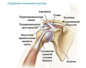 Растяжение связок плечевого сустава: причины, симптомы и лечение - Сайт об опорно двигательной системе человека