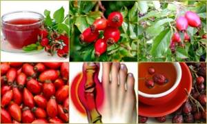 Клюква при подагре: чем полезна и вредна ягода, правила применения и рекомендуемое количество, полезные рецепты