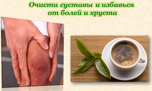 Чистка суставов лавровым листом: польза от целительного растения для человека, народные рецепты и правила лечения, противопоказания
