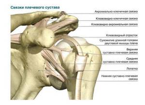 Растяжение связок плечевого сустава: причины, симптомы и лечение - Сайт об опорно двигательной системе человека