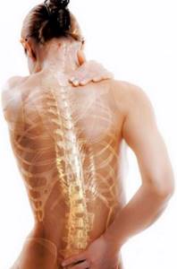 Почему возникает хондроз спины: основные причины, механизм развития, признаки заболевания, диагностические мероприятия и способы лечения