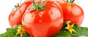 Лечебные свойства помидоров при заболеваниях суставов: польза и вред томатов, их влияние на организма человека, рецепты приготовления целебных средств и правила их применения
