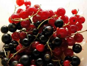Правила применения смородины при лечении подагры: состав и полезные свойства растения, рецепты народных средств и противопоказания к употреблению ягоды