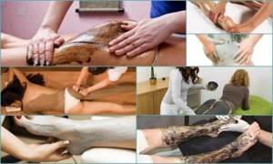 Лечение суставов глиной: полезные свойства и противопоказания к применению, разновидности и правила приготовления, рецепты использования