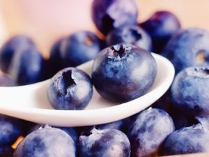 Черника при подагре: полезные свойства ягоды и ее влияние на заболевание, рецепты лечебных средств и способы их применения, противопоказания к употреблению