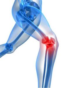 Пункция коленного сустава: виды пунктирования, с какой целью и кому назначается процедура, техника проведения и длительность манипуляции, противопоказания и возможные осложнения