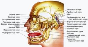 Защемление лицевого нерва: возможные заболевания и клиническая картина, способы снятия неприятных ощущений и лечебные мероприятия, профилактика и осложнения недуга