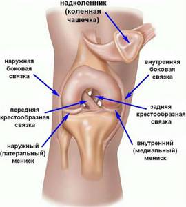 Разрыв медиального мениска коленного сустава: характерные признаки и причины травмы, стандартные этапы реабилитации и лечения, сроки восстановления