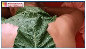 Листья хрена от отложения солей: полезные свойства и вред растения, действие листьев и народные рецепты применения, противопоказания и побочные эффекты