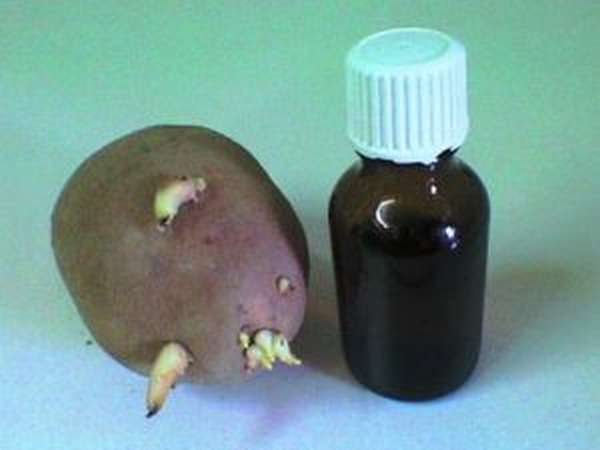 Лечение суставов картофелем: использование ростков и цветков, меры предосторожности и народные рецепты, лечебные характеристики