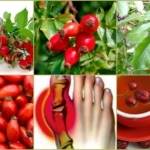 Клюква при подагре: чем полезна и вредна ягода, правила применения и рекомендуемое количество, полезные рецепты