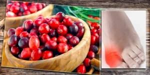 Употребление клубники при подагре: химический состав и полезные свойства ягоды, можно ли ее есть при заболевании, нормы потребления, рецепты целебных средств на основе растения