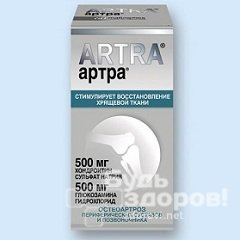 Таблетки Артра: противопоказания и побочные эффекты, состав и форма выпуска, инструкция по применению, цена и отзывы