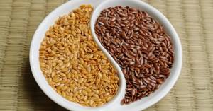 Как принимать семя льна для снижения холестерина – рецепты