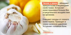 Чеснок, лимон и мёд от холестерина – мнение врачей, рецепты