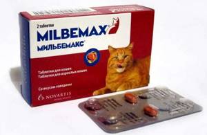 Инструкция по применению таблеток от глистов «Мильбемакс» для лечения кошек и котят: состав и дозировка, схема приема