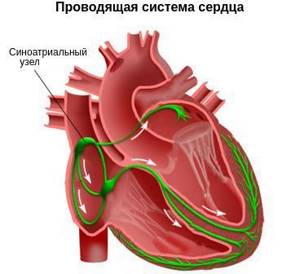 Пульс 100: это нормально или нет? Причины, что делать при учащенном сердцебиении?