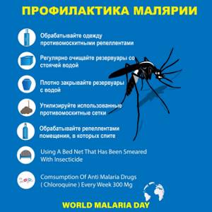 Лабораторная диагностика малярии: сдать кровь, клиники, профилактика, анализ