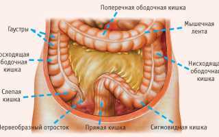 Атония кишечника: что это такое, симптомы и лечение заболевания