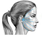 Неврит лицевого нерва: причины возникновения, симптомы, лечение воспаления лицевого нерва